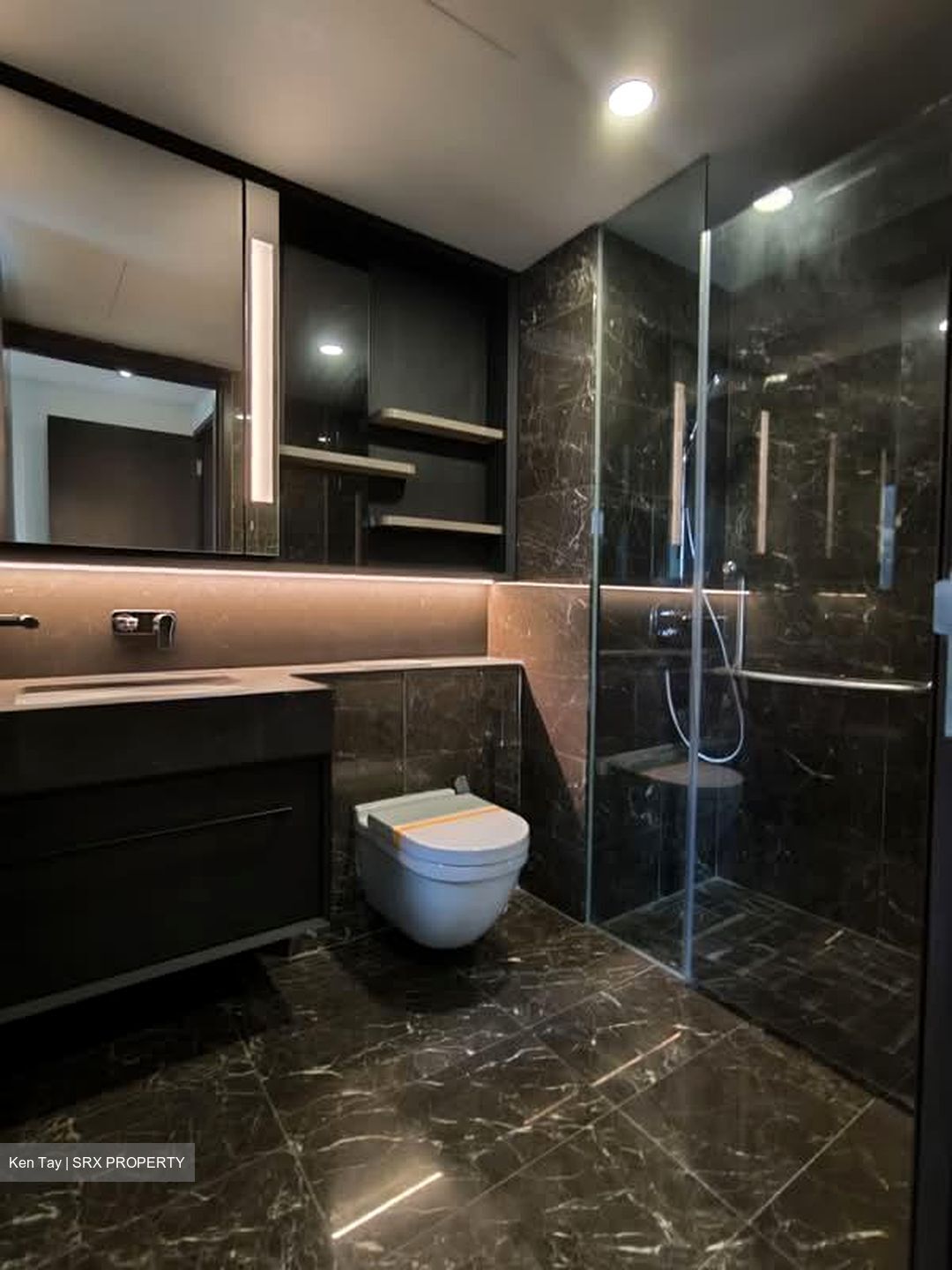Neu At Novena (D11), Apartment #566378731
